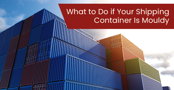 What to do if your shipping container is mouldy