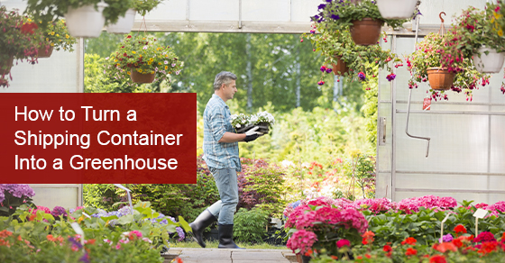 How to Turn a Shipping Container Into a Greenhouse